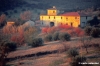 olivi509_31