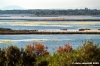 orbetello01