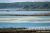 orbetello02