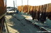 orbetello08