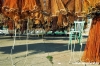 orbetello12
