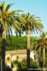 orbetello33