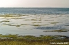 orbetello43