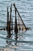 orbetello50