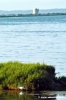 orbetello65