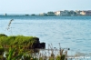 orbetello69