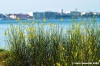 orbetello71