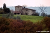 pelago001_061125