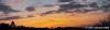 pelago005_061125
