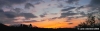 pelago010_061125