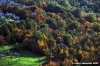 pelago_campagna008