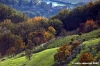 pelago_campagna009