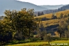 pelago_campagna014