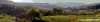pelago_campagna019