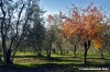 pelago_campagna022