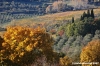 pelago_campagna035
