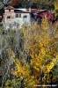 pelago_campagna038