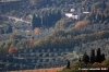 pelago_campagna040