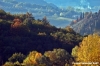 pelago_campagna041