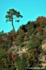 pelago_campagna042