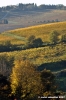 pelago_campagna043
