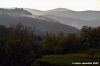 pelago_campagna046
