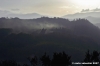 pelago_campagna048