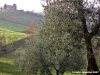 pelago_maneggio15