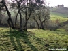 pelago_maneggio16