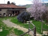 pelago_primavera01