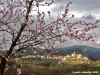 pelago_primavera03