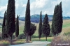 pienza1001_17