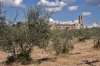 pieve_san_donato01