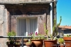 pitigliano100