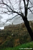 pitigliano103_060305