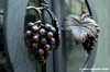 pitigliano95