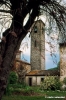 polcanto955_50