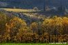 pontassieve_campagna01