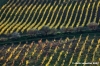 pontassieve_campagna07