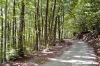 riserva_monte_penna01