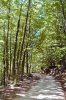 riserva_monte_penna02