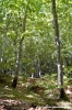 riserva_monte_penna14
