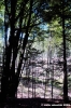 riserva_monte_penna15