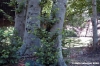 riserva_monte_penna18