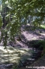 riserva_monte_penna20