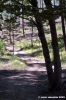 riserva_monte_penna22