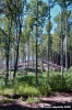 riserva_monte_penna24
