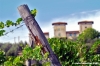 ruffino4