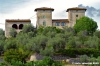 ruffino7