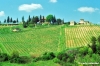 san_casciano815_30